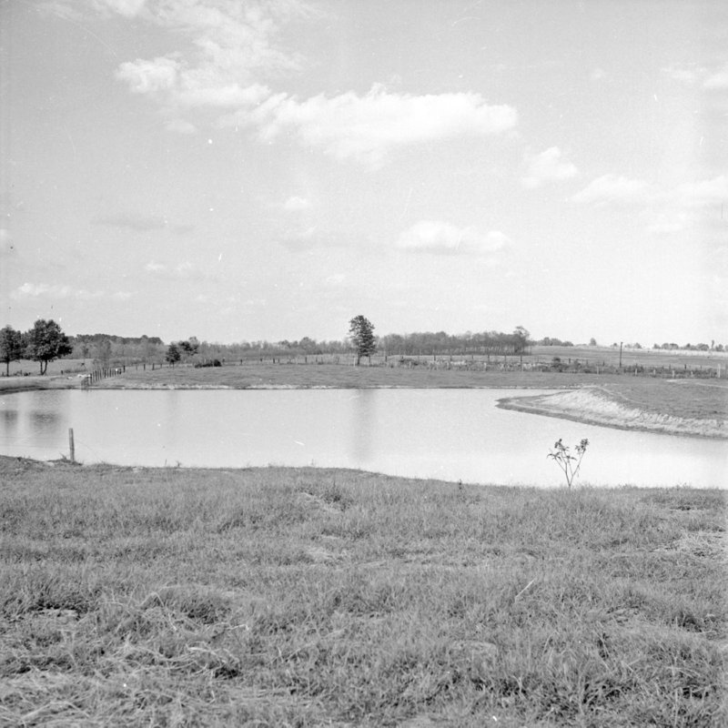 116_Ponds were dug to provide water and control runoff. (1951).jpg